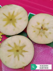 昭通苹果哥 从网售第一人到品牌推广大使，揭秘昭通苹果畅销全国的奥秘