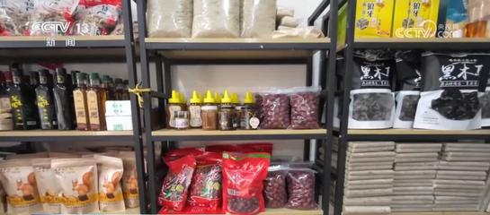 代表委员积极履职建言献策，共谋水产业高质量发展新篇章