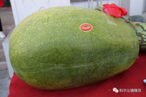 科尔沁镇金秋农产品展销会圆满落幕，助力农产品与日用品产销对接